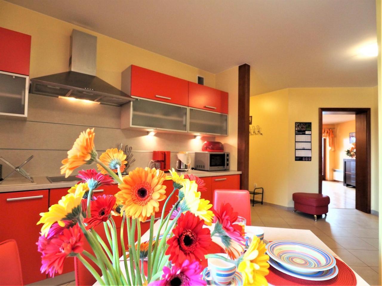 Apartament Widokowy Maki Zakopane Exterior photo